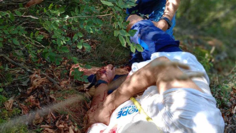 Αρκούδα επιτέθηκε σε 67χρονο άνδρα στην Άρτα – Έπεσε σε χαντάκι για να σωθεί