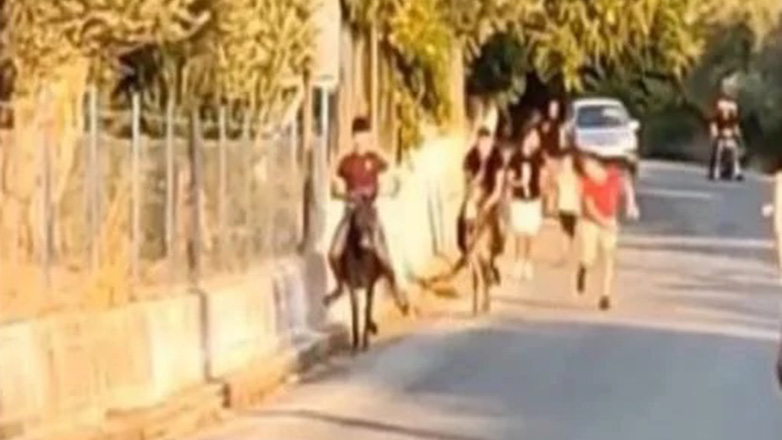 Αντιδράσεις για τις «γαϊδουροδρομίες» στη Λέσβο – Παιδιά μαστιγώνουν ασταμάτητα γαϊδουράκια