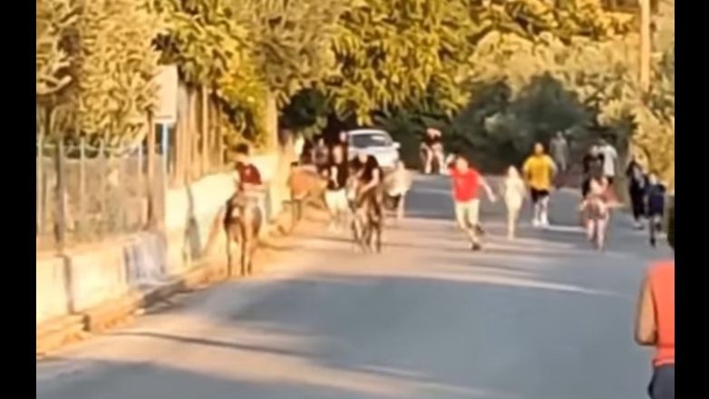 Παρέμβαση του Αρείου Πάγου για τις «γαϊδουροδρομίες» στη Λέσβο