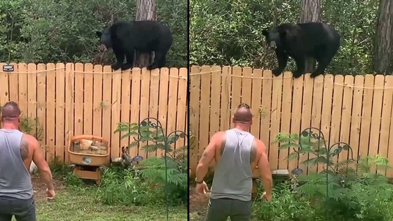 Ο τύπος, το σκυλάκι και η αρκούδα στον φράχτη