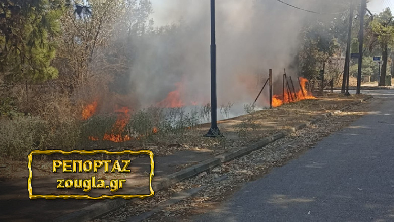 Δήμος Ελευσίνας: Εισαγγελική έρευνα για τα ακαθάριστα οικόπεδα σε Ελευσίνα και Μαγούλα