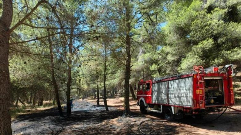 Πυρκαγιά στο Διόνυσο: Δύο συλλήψεις για εμπρησμό από πρόθεση