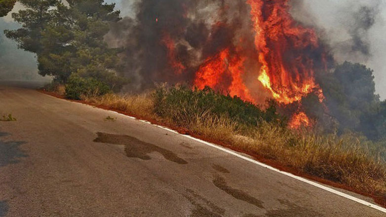 Κιλκίς: Φωτιά σε δασική έκταση στην Κορώνα