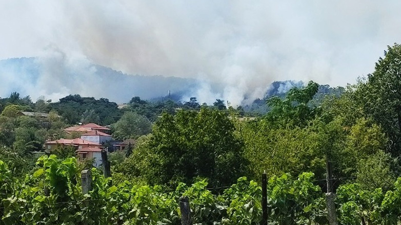 Πολύ υψηλός κίνδυνος πυρκαγιάς το Σάββατο στον Έβρο