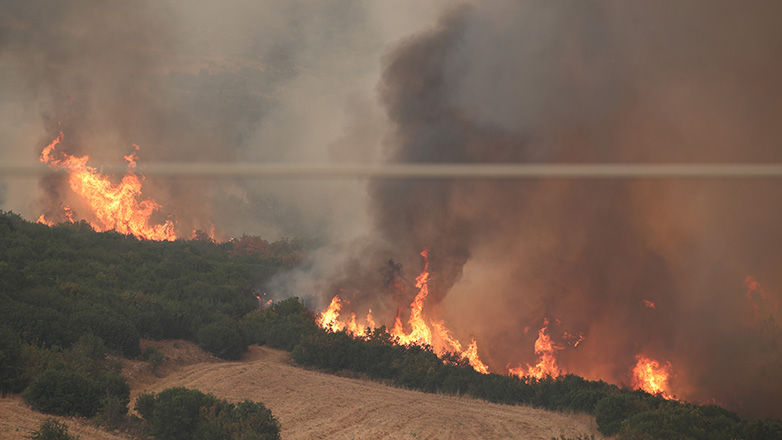 Αλεξανδρούπολη: Στο μέτωπο βόρεια του Σουφλίου έχουν επικεντρωθεί οι πυροσβεστικές δυνάμεις