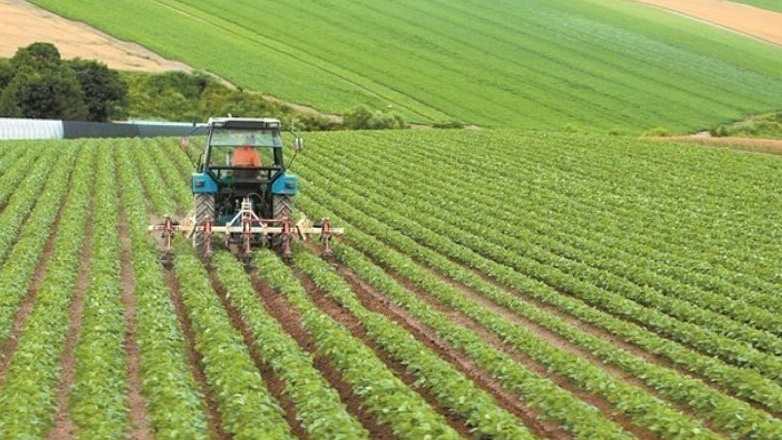 Δεν θα δοθεί νέα παράταση για την υποβολή δηλώσεων ΟΣΔΕ