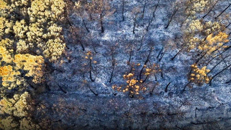 Συγκλονιστικά πλάνα από drone αποκαλύπτουν την ανυπολόγιστη οικολογική καταστροφή στον Έβρο