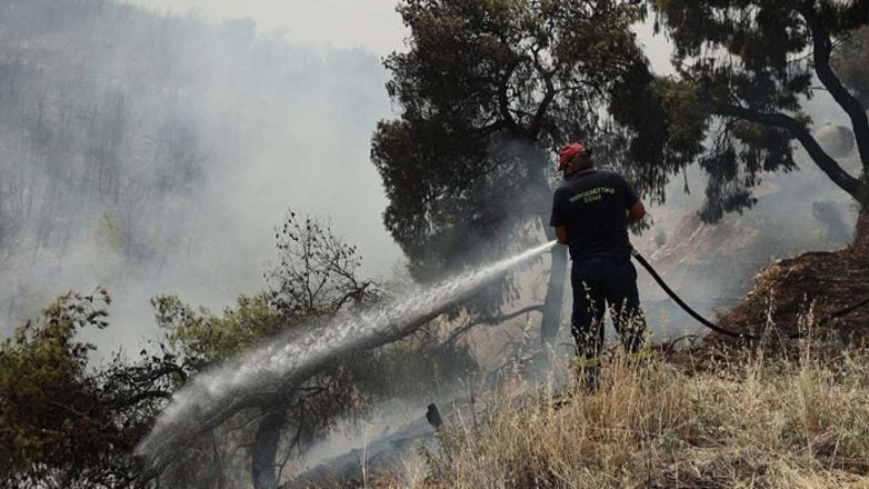 Έσβησε η μεγάλη πυρκαγιά στη Δαδιά του Έβρου