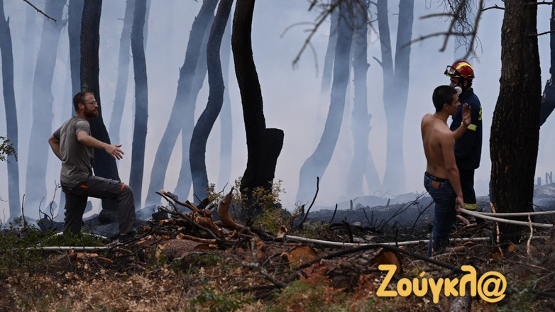 Φωτιά στη Σταμάτα Αττικής: Συνελήφθη άνδρας για εμπρησμό από αμέλεια