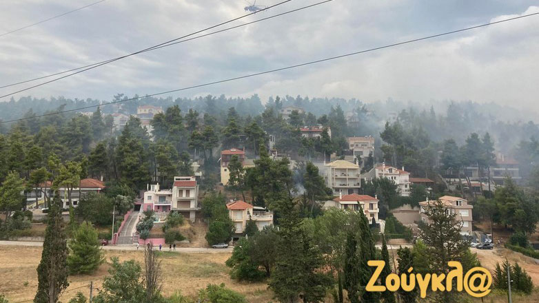 Υπό μερικό έλεγχο η πυρκαγιά στη Σταμάτα