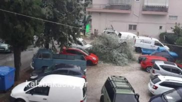 Σε «κόκκινο συναγερμό» οι δυνάμεις της πυροσβεστικής σε Καρδίτσα και Τρίκαλα