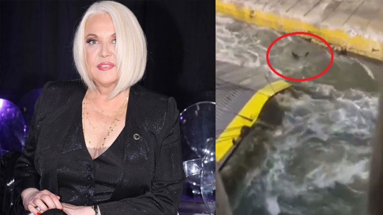 Ρούλα Κορομηλά για την τραγωδία στο Blue Horizon: «Είσαστε η ντροπή όλου το κόσμου»