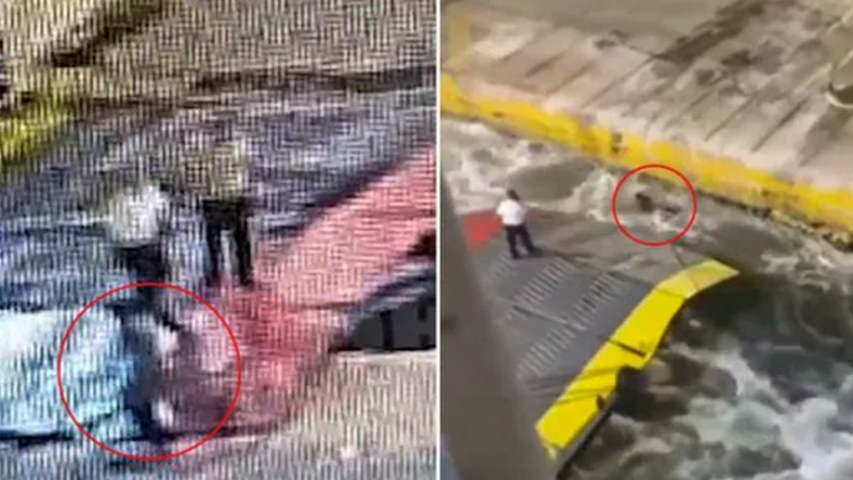 Blue Horizon: Η Attica Group ανακοινώνει πως ξεκινά εσωτερική έρευνα