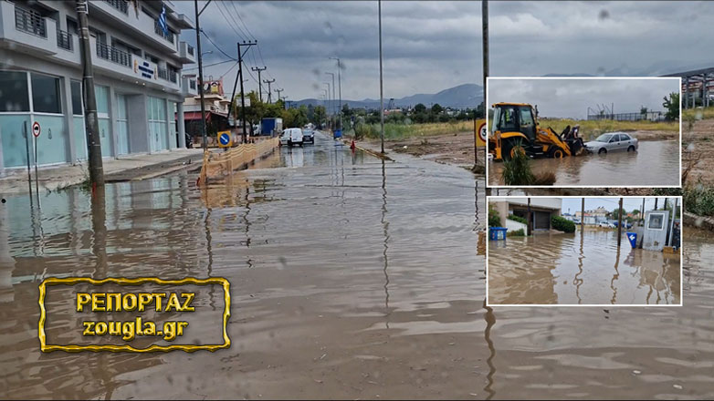 Δήμος Ελευσίνας: Ωκεανός η Ωκεανίδων από την αδιαφορία της δημοτικής Αρχής