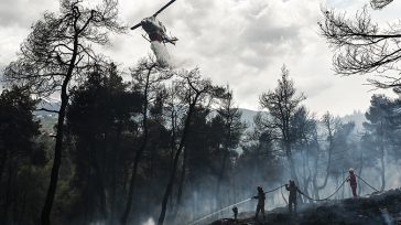 Δίκη για το Μάτι: «”Εφιαλτικό” το σενάριο απομάκρυνσης – Είχαμε ένδεια μέσων και προσωπικού»
