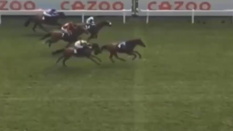 Άλογο χωρίς αναβάτη κερδίζει στον ιππόδρομο