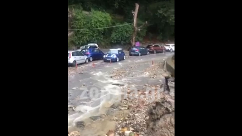 Δραματική έκκληση αναγνώστη στη «Ζούγκλα» από τη Μακρυνίτσα Βόλου