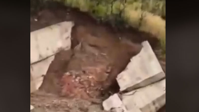 Εύβοια: Έσπασαν τα φράγματα πάνω από τις Ροβιές – Δεν ήταν οπλισμένα με σίδερο