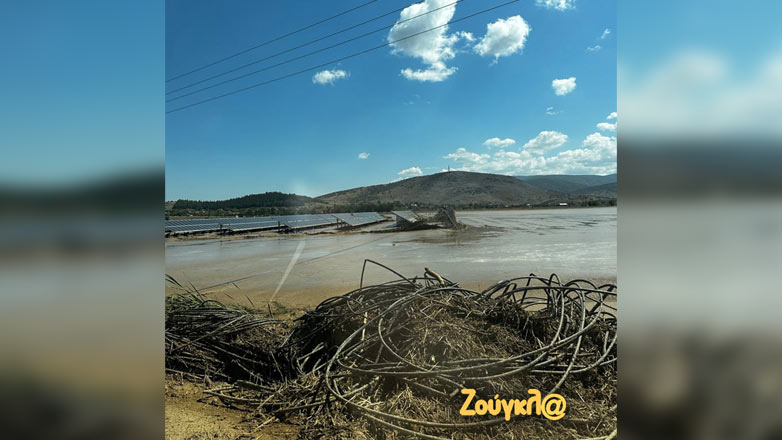 Μαρτυρία – σοκ στη «Ζούγκλα»: «Καταστραφήκαμε οι αγρότες»