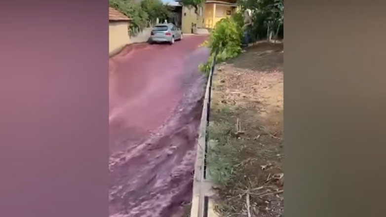 Πορτογαλία: Ποτάμι από κρασί κατέκλυσε χωριό – 2 εκατομμύρια λίτρα στους δρόμους