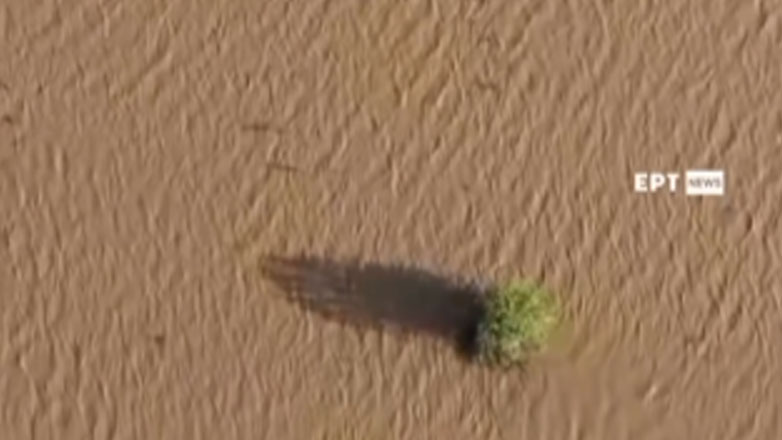 Δορυφορική απεικόνιση των καταστροφών στη Θεσσαλία