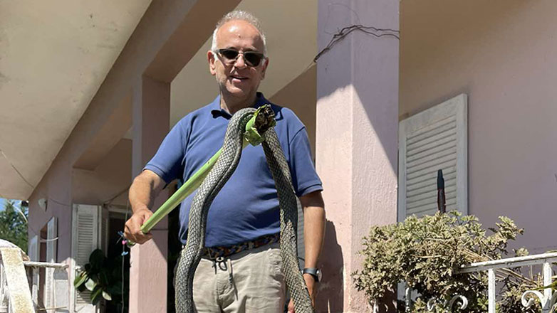 Θεσσαλία: Έβγαλε φίδι 2,5 μέτρων από τα λασπόνερα στον Παλαμά
