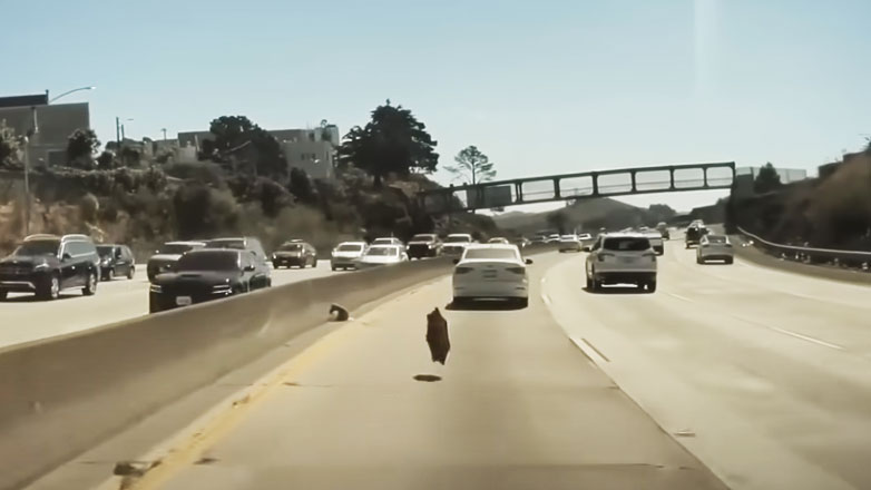 Η Tesla έβγαλε το Cybertruck για τελικές δοκιμές και εκσφενδονίστηκε το τάσι σε 10μ. ύψος