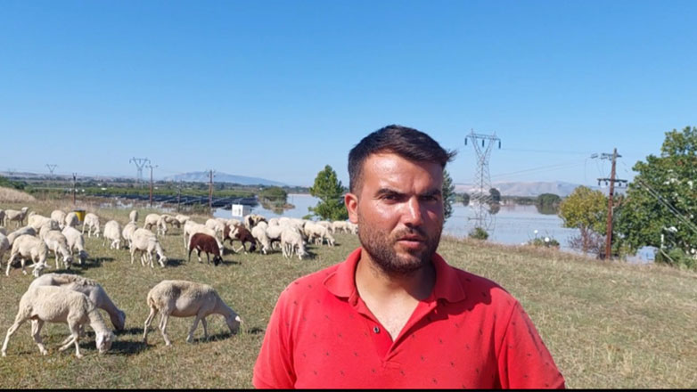 Λάρισα: Κραυγή αγωνίας από κτηνοτρόφο που κατάφερε να σώσει μέρος του κοπαδιού του από την πλημμύρα