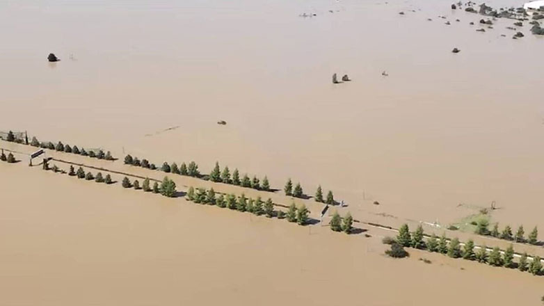 Πυροσβεστική: Πιθανόν να ανοίξει σήμερα η εθνική οδός Αθηνών-Θεσσαλονίκης