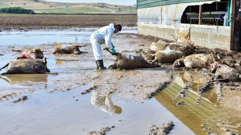 Αγαπηδάκη: 62 νέα περιστατικά λοίμωξης του αναπνευστικού και 51 νέα κρούσματα γαστρεντερίτιδας στη Θεσσαλία