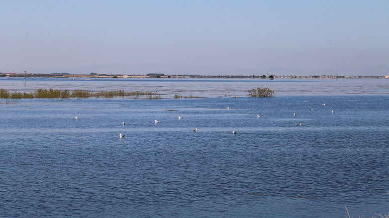 Λίμνη Κάρλα: Ξεπέρασε την έκταση που είχε το 1962- Αποκαλυπτικές δορυφορικές εικόνες από τις πλημμύρες