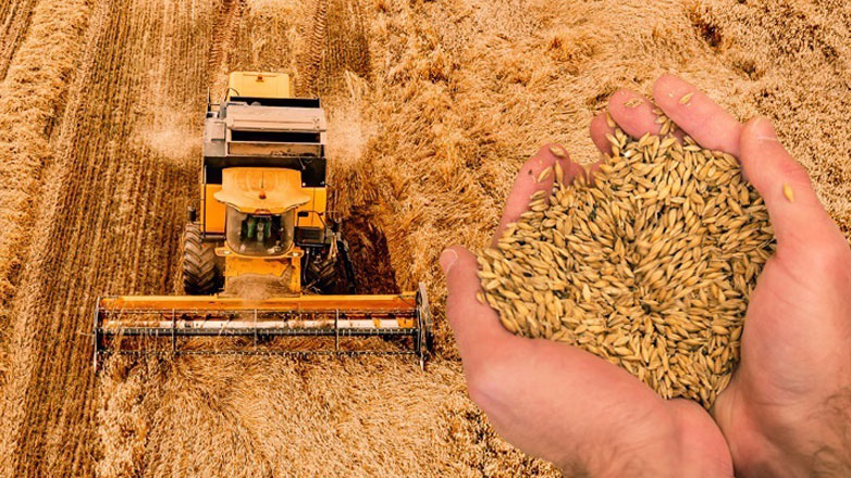 Η Πολωνία διατηρεί το εμπάργκο στα ουκρανικά σιτηρά παρά την προσφυγή του Κιέβου