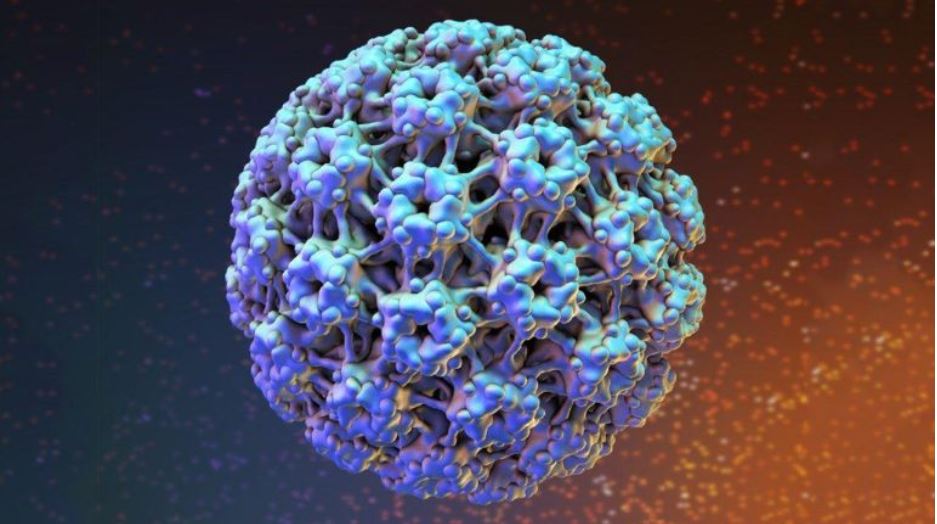 Ελληνική HPV Εταιρεία: Μπορούμε να εξαλείψουμε τον καρκίνο του τραχήλου της μήτρας