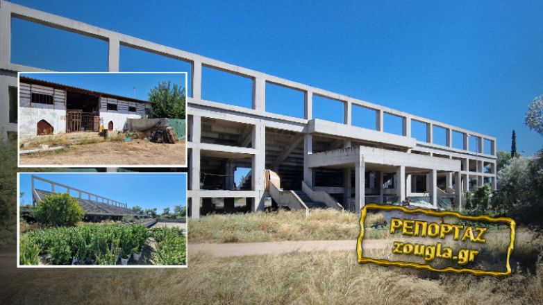 Εθνική Αρχή Διαφάνειας: Έρευνα για τα κοτέτσια και μποστάνια στο κολυμβητήριο Ελευσίνας Εθνική Αρχή Διαφάνειας: Έρευνα για τα κοτέτσια και μποστάνια στο κολυμβητήριο Ελευσίνας