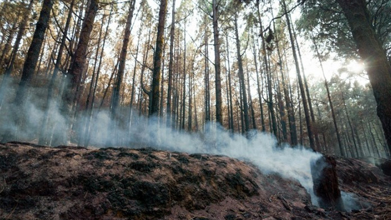 Δασικές πυρκαγιές εν μέσω ανοιξιάτικου καύσωνα στην Αυστραλία