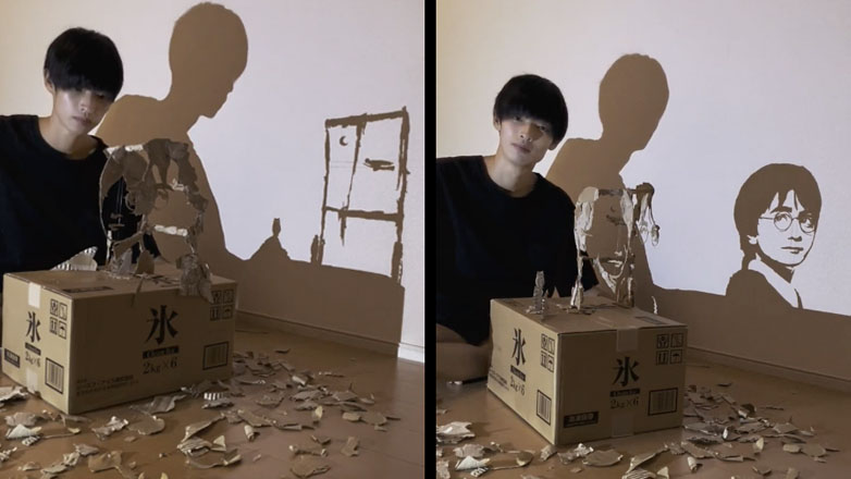 Καλλιτέχνης δημιουργεί το πορτρέτο του Χάρι Πότερ στη σκιά με χαρτόνια