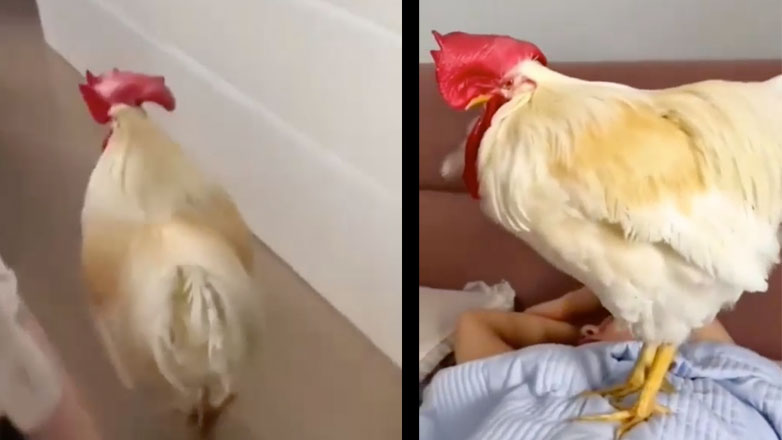 Προσωπικό ξυπνητήρι