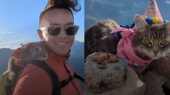 Περιπετειώδης γάτα εξερευνά τον κόσμο