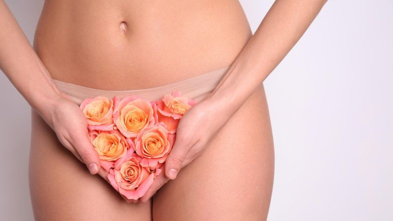 Εξερευνώντας το «κανονικό»:  Η ποικιλομορφία του αιδοίου