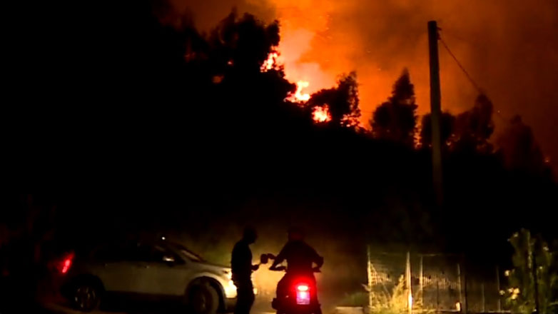 Ιταλία: Δύο νεκροί από τις δασικές πυρκαγιές στη βόρεια Σικελία