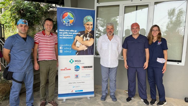 Στειρώσεις γατών από εθελοντές κτηνιάτρους στην Έδεσσα