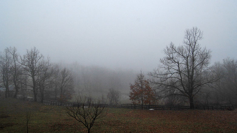 Καρδίτσα: Δήμοι απευθύνουν κάλεσμα στους πολίτες να είναι ιδιαίτερα προσεκτικοί στα νέα καιρικά φαινόμενα