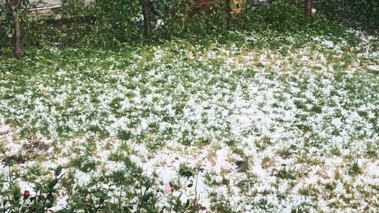 Κακοκαιρία Elias: Το έστρωσε με χαλάζι στην Κλειτορία Αχαΐας