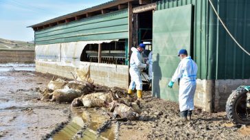 Λάρισα: Το τελευταίο 24ωρο έχουν καταγραφεί 86 νέα κρούσματα λοίμωξης του αναπνευστικού και 48 κρούσματα γαστρεντερίτιδας