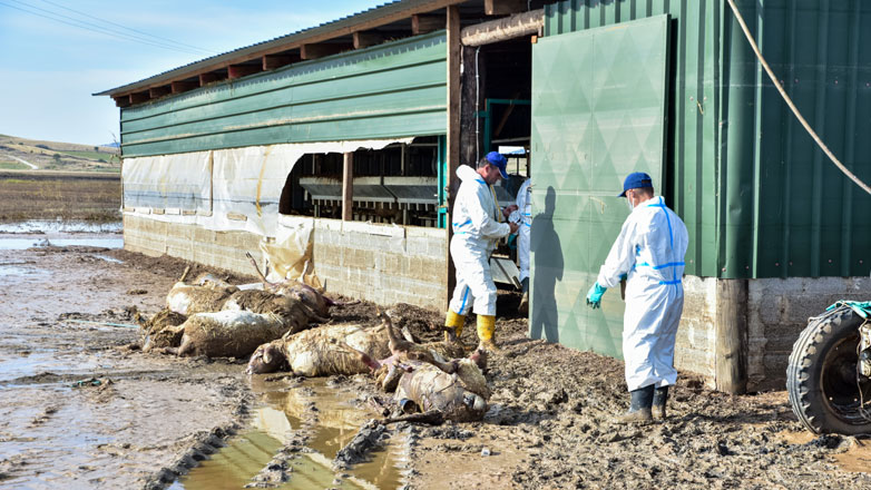 Λάρισα: Το τελευταίο 24ωρο έχουν καταγραφεί 86 νέα κρούσματα λοίμωξης του αναπνευστικού και 48 κρούσματα γαστρεντερίτιδας