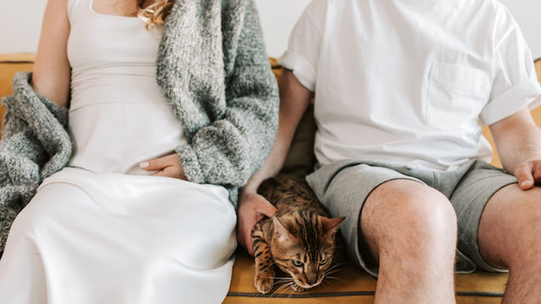 Εγκυμοσύνη: Τι πρέπει να γνωρίζετε για τις γάτες