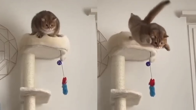 Έγινε λάθος υπολογισμός