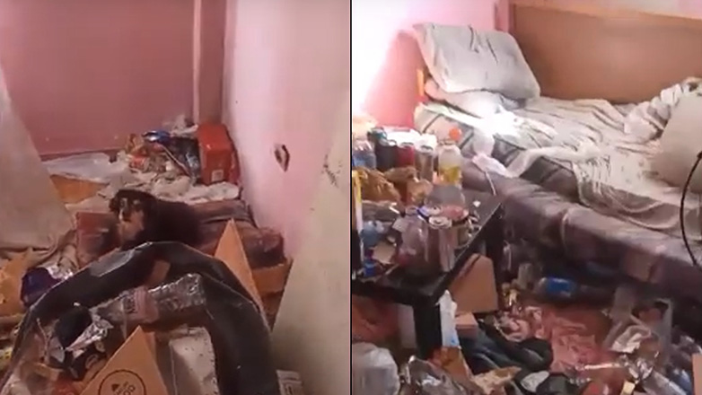 Σκυλάκια ζούσαν σε σπίτι… τρώγλη στη Θεσσαλονίκη