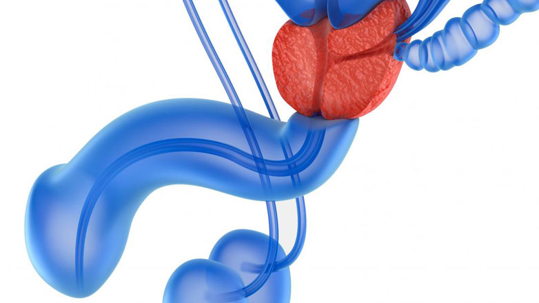 Υγεία του Προστάτη και Καρκίνος: Κατανόηση, Πρόληψη και Επίκαιρη Ανίχνευση