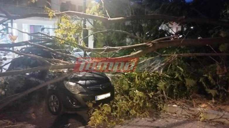 Πάτρα: Δέντρο έπεσε σε γυναίκα και την τραυμάτισε στο κεφάλι